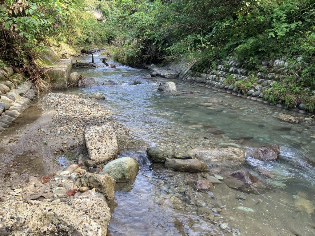 浅瀬が流れる小川に沿った自然の風景。周囲には緑の木々と石の護岸が見える。