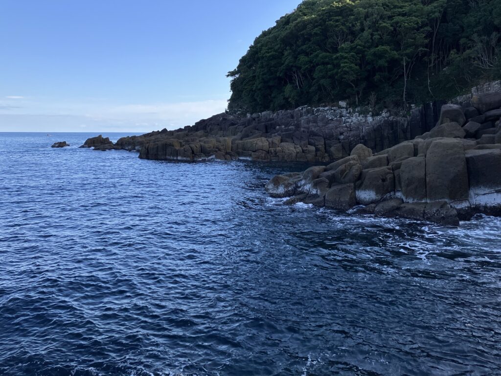 海岸線と岩場が広がる風景。波が打ち寄せる青い海と緑の木々が見える。