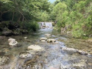 郡上市吉田川の枝沢の地図に載っていない堰堤。