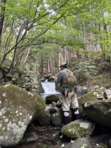 真夏の郡上渓流の源流部をウエットウエーディング装備偵察するSHひろあき