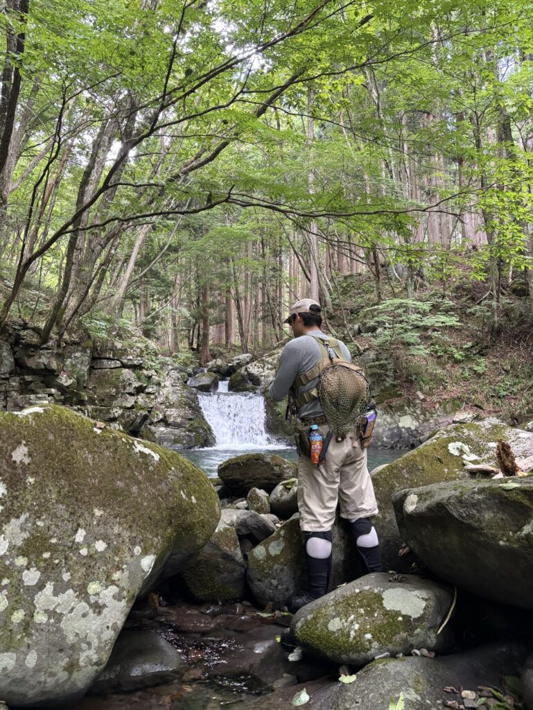 真夏の郡上渓流の源流部をウエットウエーディング装備偵察するSHひろあき